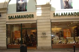 Salamander in Nantes