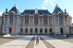 Culture And Adventure in Lille