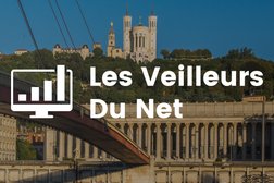 Les Veilleurs Du Net in Lyon