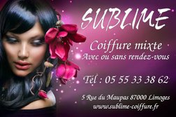 Sublime in Limoges