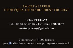Maître Céline Peccavy Avocat in Toulouse