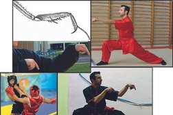 Centre Wushu Sport (kung fu grenoble) in Grenoble