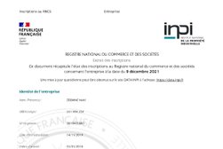 N-DATASAVE (Leader du dépannage informatique à Lyon - Service de réparation d