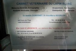 Cabinet Vétérinaire Naturavet (anciennement Lapin Blanc) in Bordeaux