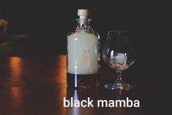 Black Mamba Photo