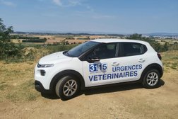 Urgence Vétérinaire de garde Toulouse et sa région Photo