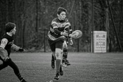 Havre Athlétique Club Rugby Photo