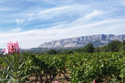 Provence Wine Tours in Aix en Provence