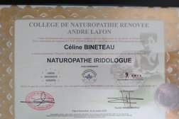 Céline Bineteau Naturopathe Photo