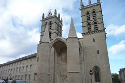 Cathédrale Saint-Pierre de Montpellier Photo