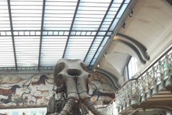 Galerie de Paléontologie et d’Anatomie comparée in Paris
